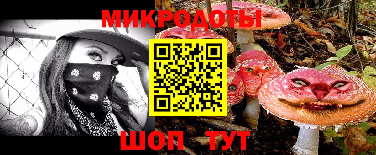 Каменка  Псилоцибиновые грибы Cubensis  Вход с VPN 